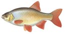 Вымпел-СК - иконка «рыбалка» в Унъюгане